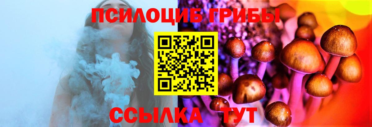 Урюпинск  Псилоцибиновые грибы Cubensis  Вход с VPN 
